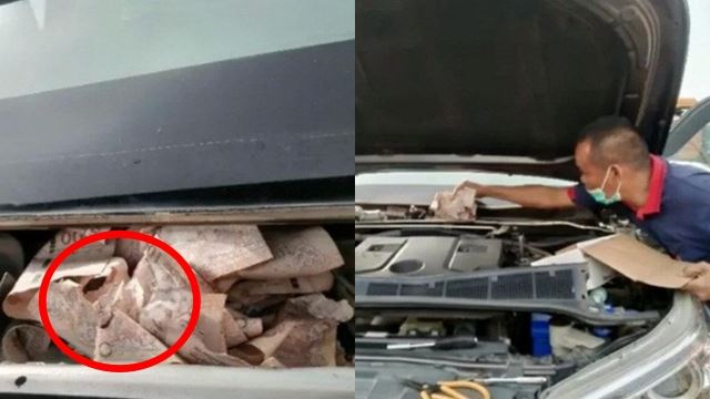 suami kedekut sorok wang daripada isteri terima padah apabila wang lesap digigit tikus