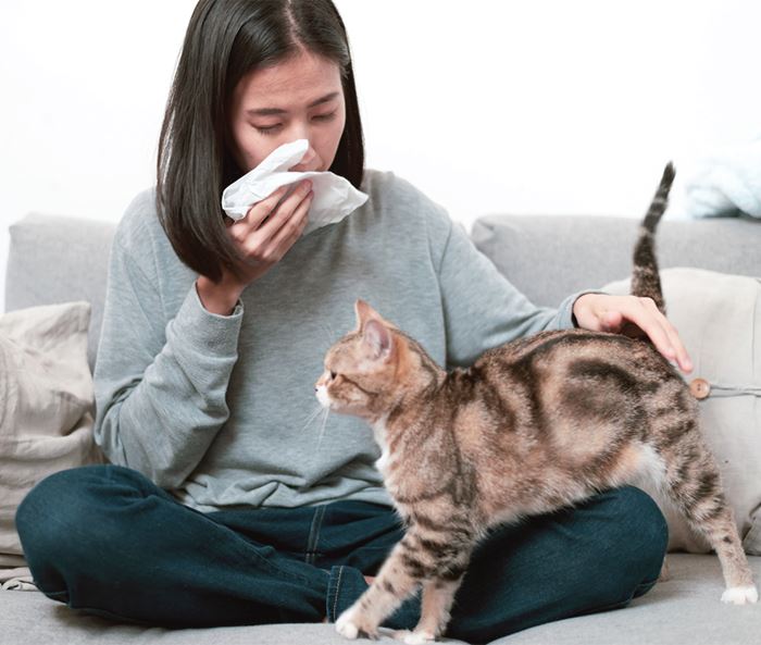 this is what’s causing your “cat allergies” all this time! it’s not the fur!