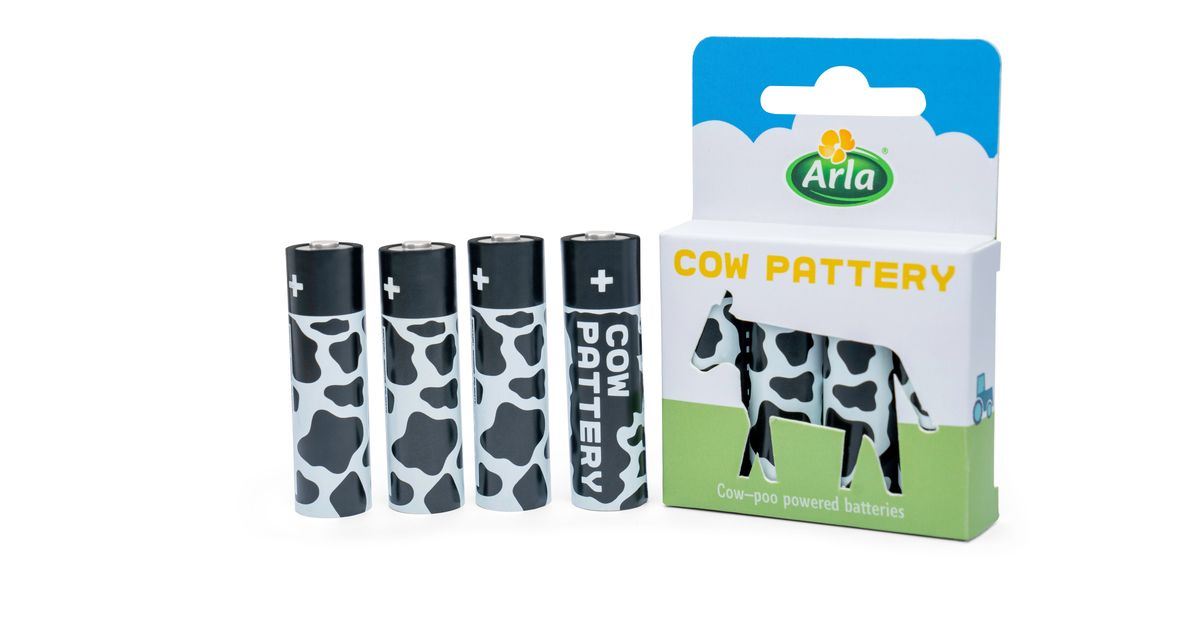 petani cipta bateri aa bolej caj semula daripada najis lembu