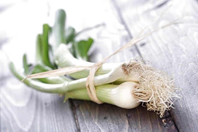 here are healthy solutions to your common digestive problems