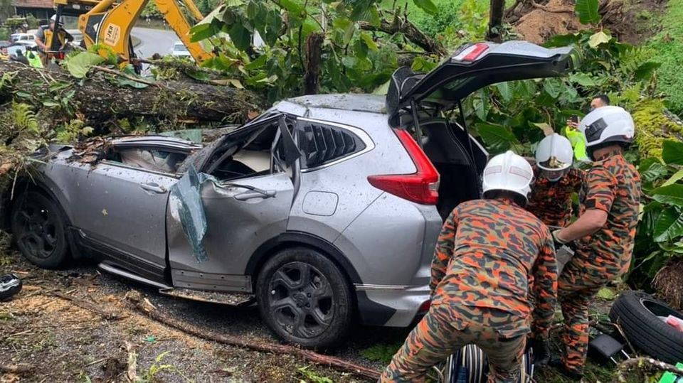 fallen tree crushes car in cameron highlands landslide