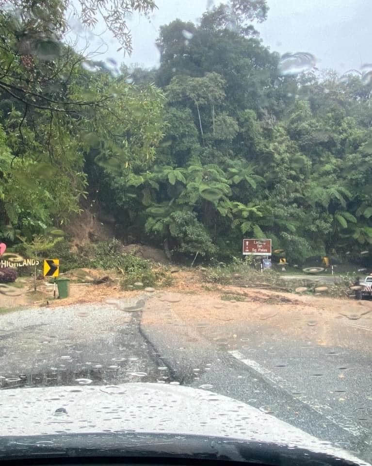 fallen tree crushes car in cameron highlands landslide