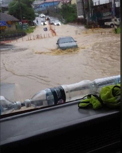 fallen tree crushes car in cameron highlands landslide