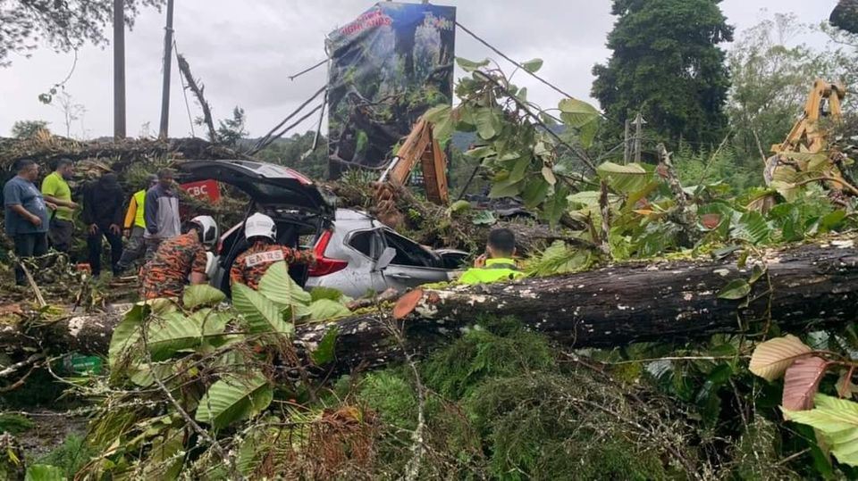 fallen tree crushes car in cameron highlands landslide