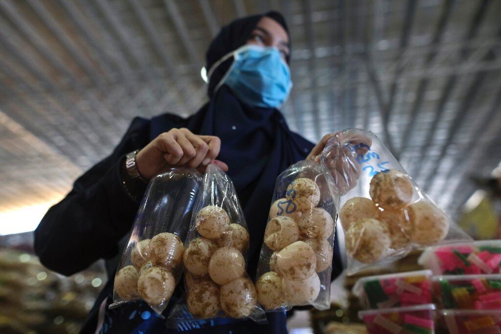 terengganu bans sale of all types of turtle eggs starting june 2022!