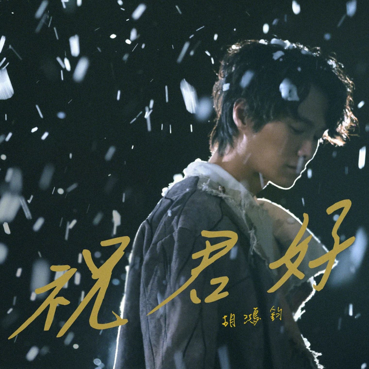 【影片】胡鸿钧重新演绎《祝君好》mv来咯❗️网友赞:唱出属于自己的版本❤️