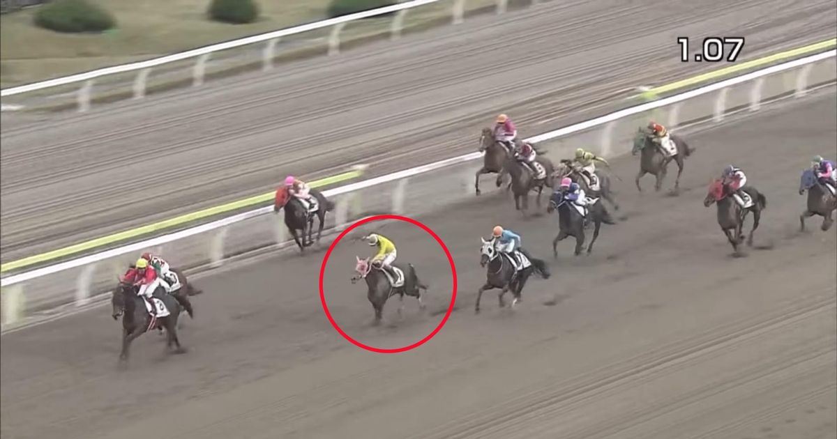 inilah kuda yang buat pengulas menangis, sumomomomomomomomo si kuda lumba