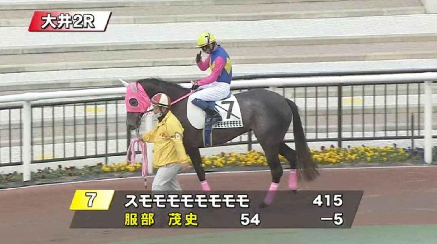 inilah kuda yang buat pengulas menangis, sumomomomomomomomo si kuda lumba