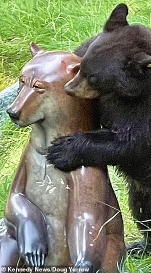 ‘‘ku sangka beruang betina, rupanya patung hiasan,’’ - beruang jantan