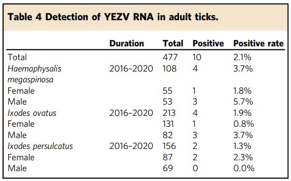 virus yezo, penyakit berjangkit baru ditemui di jepun oleh bawaan kutu