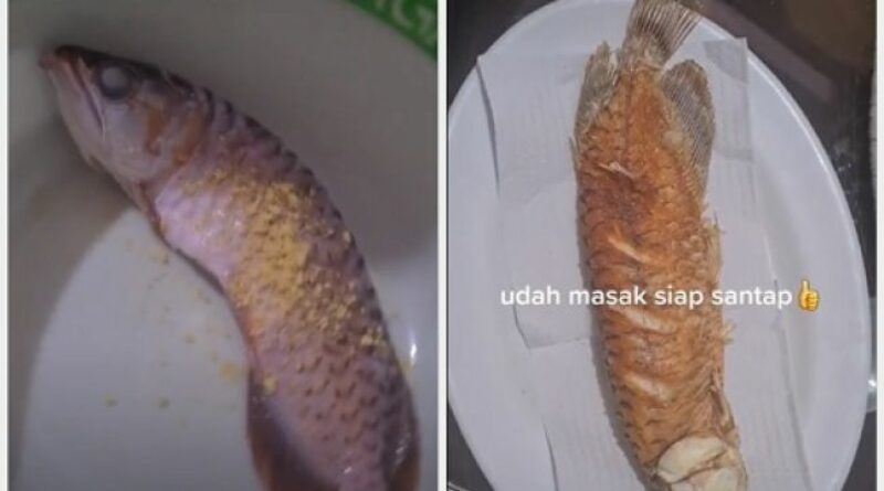 suami malas cuci akuarium, isteri goreng ikan arowana peliharaannya