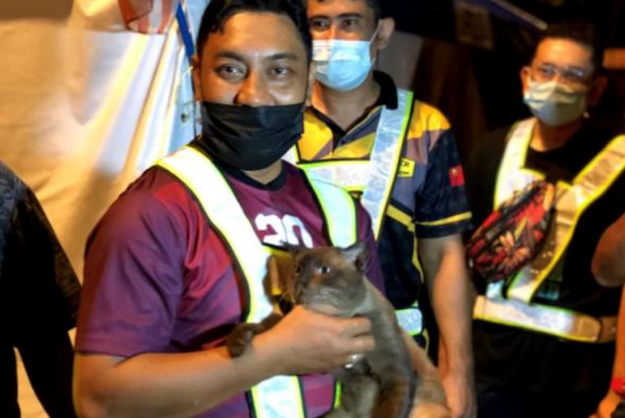 kedah policemen manning roadblock saddened when they had to part with their feline companion, kilat