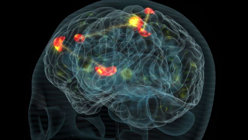 awas jika ada tanda ini masa memandu, maut boleh terjadi sekelip mata!