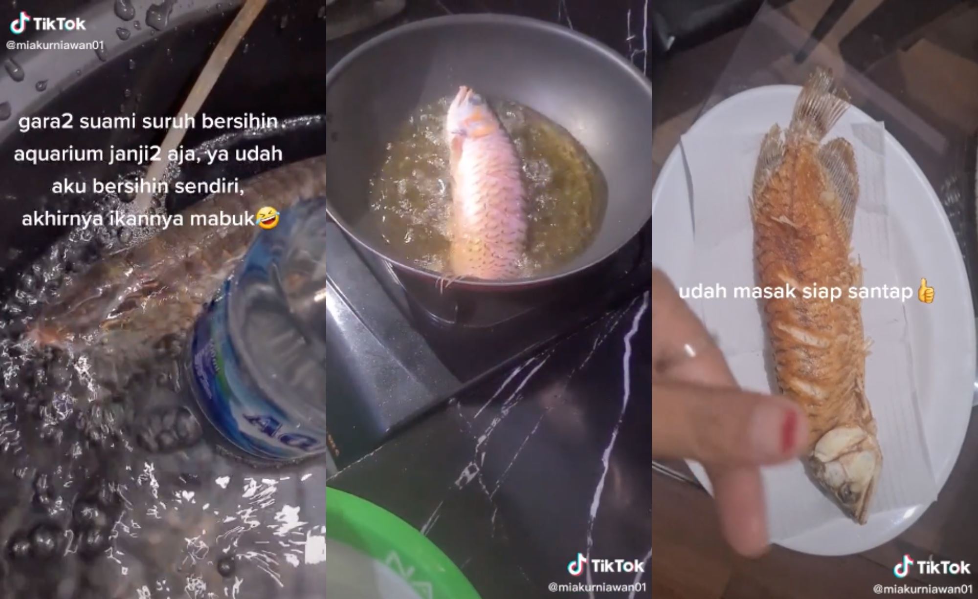 indonesian woman deep fries husband’s pet arowana because he fails to clean tank