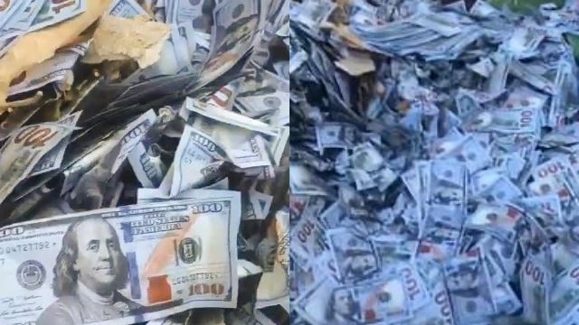 [video] individu lapor temui sejumlah wang tunai dalam tong sampah