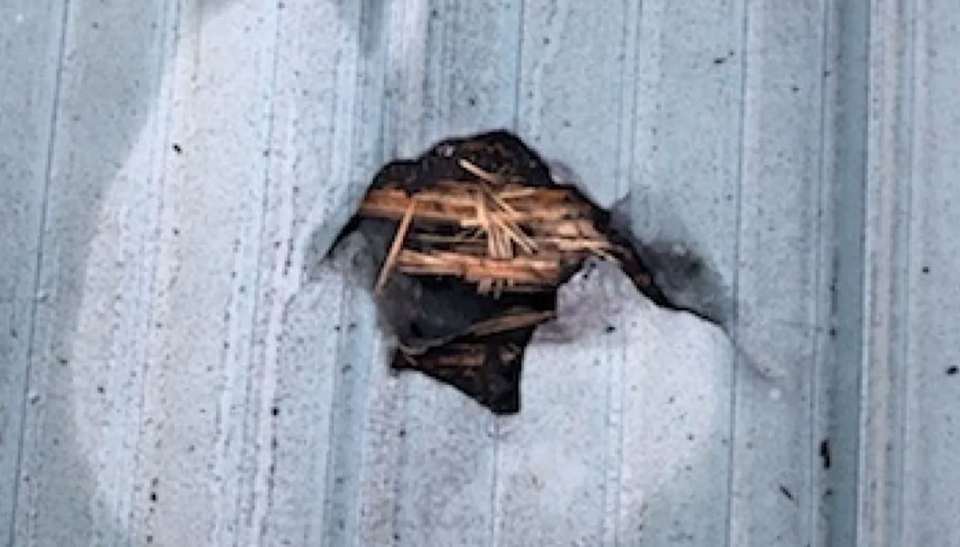 woman evade death as meteorite crashed into her bedroom while she was sleeping