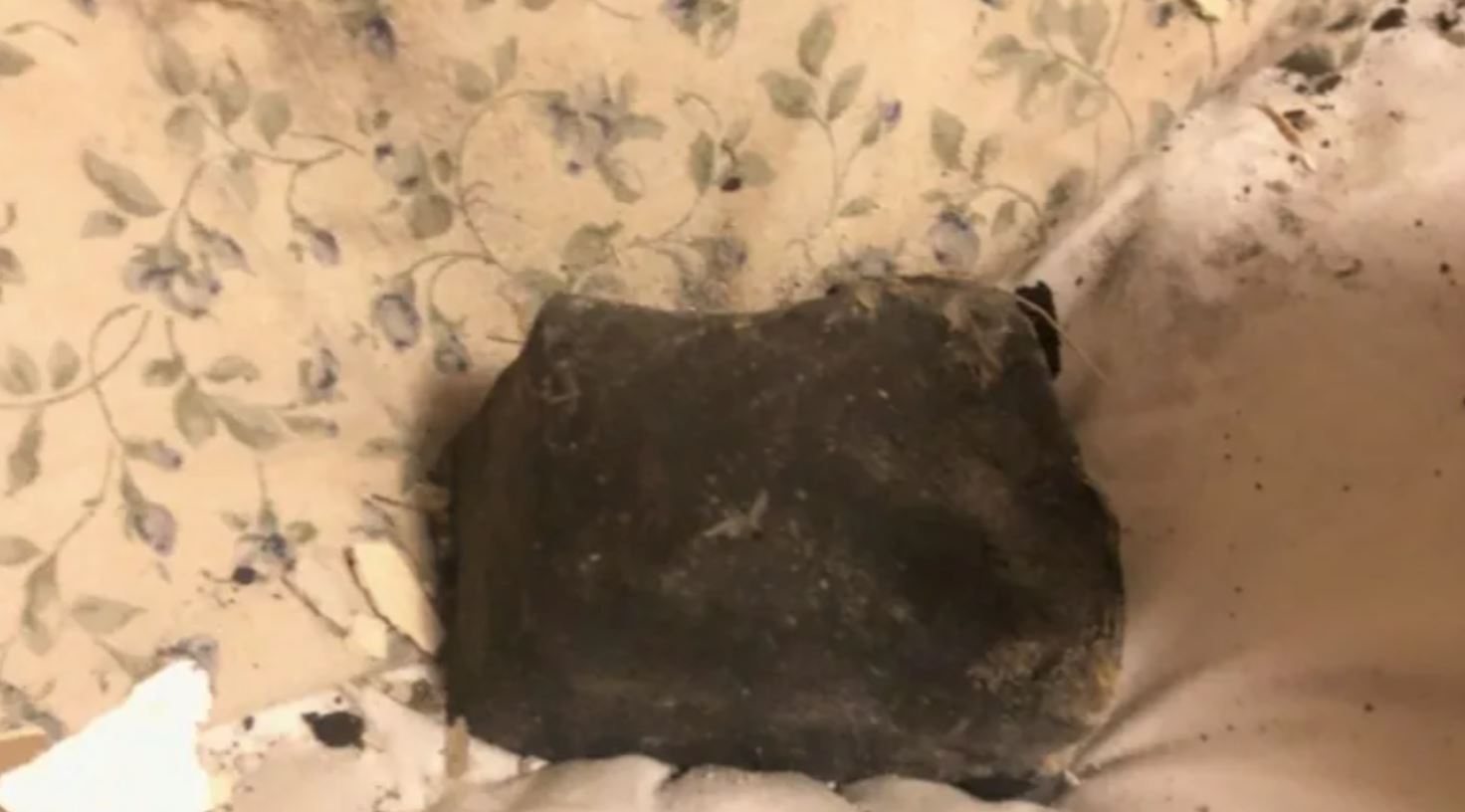 woman evade death as meteorite crashed into her bedroom while she was sleeping