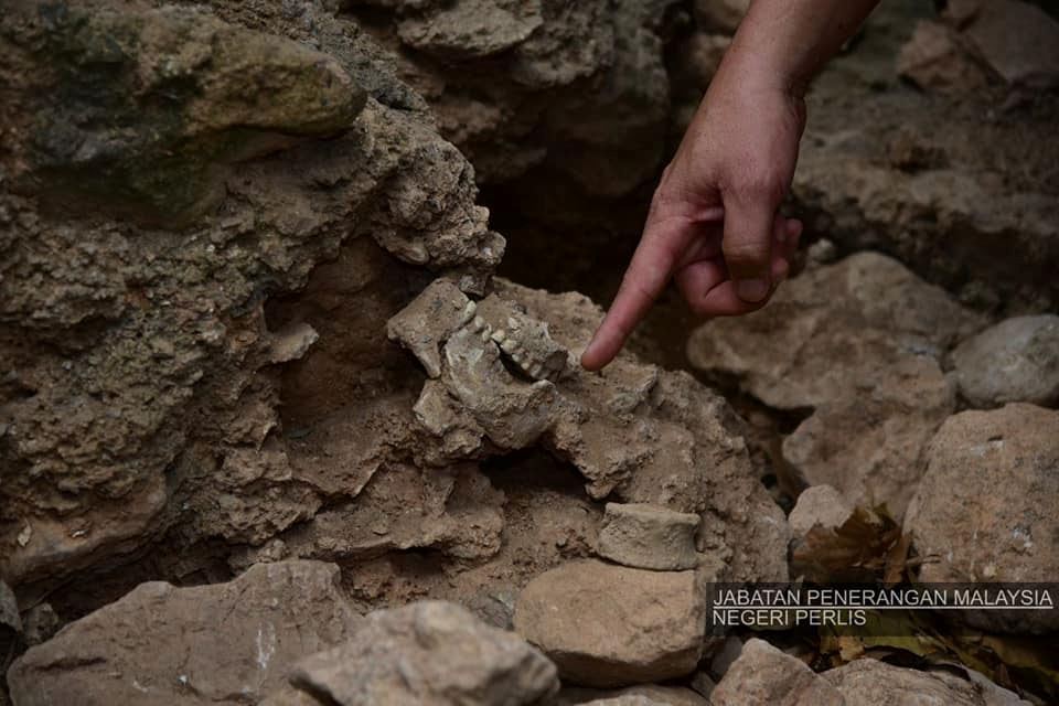 ahli arkeologi temui lukisan berusia 10,000 tahun di perlis