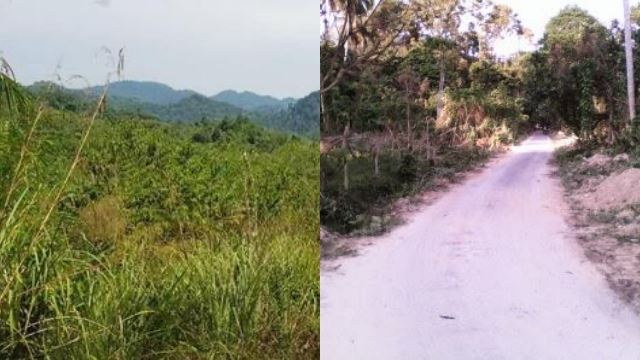wanita ditemui separuh sedar, trauma selepas hilang dalam hutan