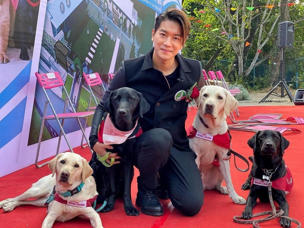 【镜头后劲麻甩的男艺人】100位tvb台前幕后投票❗️马国明高票胜出🔥