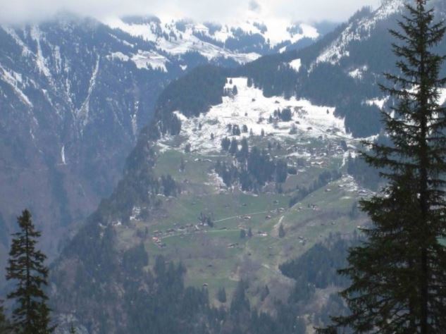 pendaki sesat di pergunungan diselamatkan kucing yang tiba-tiba muncul