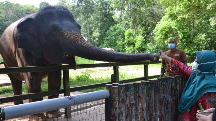 tiket masuk ke zoo melaka laku keras, raih kutipan lebih rm800,000