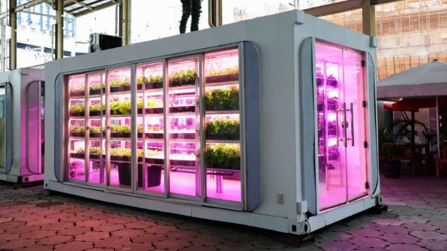 berkebun gaya urban, penduduk manila kini boleh bercucuk tanam dalam kekotak 