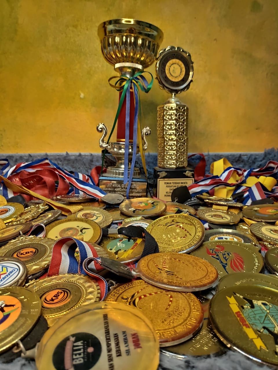 Malaysian female Silambam athlete wins gold medals