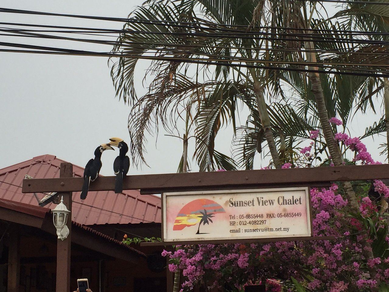 dijangka buka 1 november, ini 15 tempat menarik di pulau pangkor!