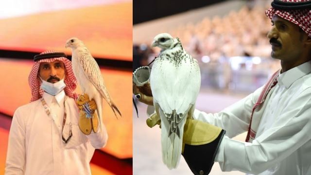 burung helang paling mahal di dunia bernilai rm1.9 juta akhirnya terjual