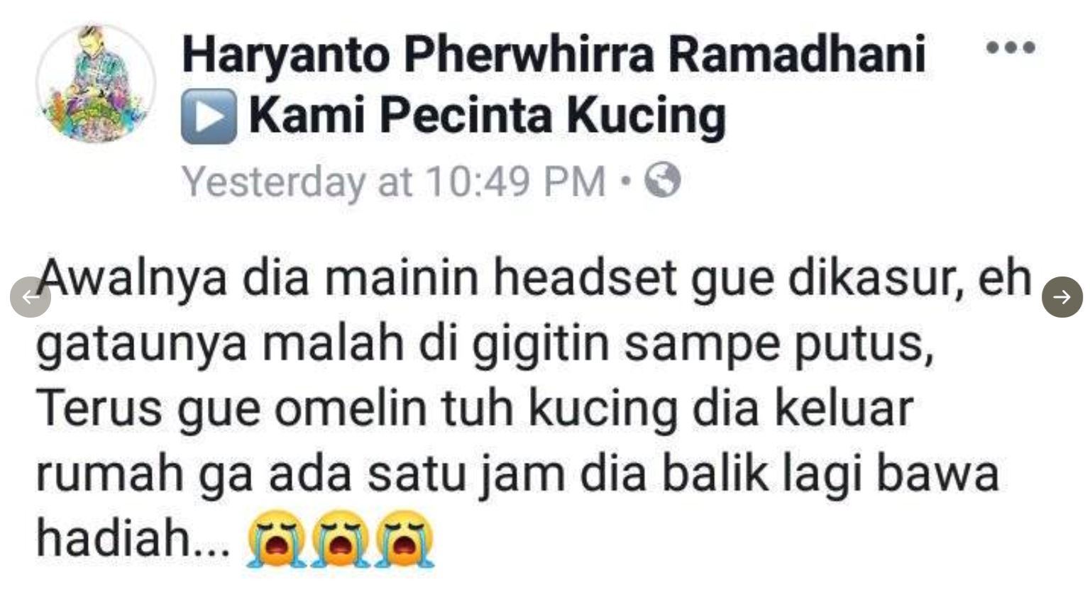 dimarahi lepas putuskan wayar earphone, kucing bawa balik anak ular sebagai ganti