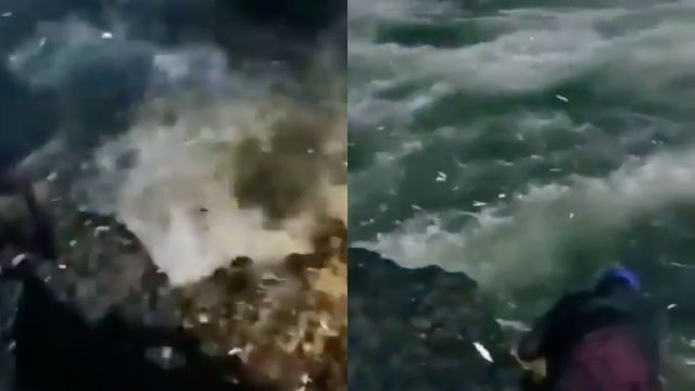 fenomena ikan bilis naik ke darat gempar penduduk tempatan, nelayan ambil peluang penuhi kawasan pantai