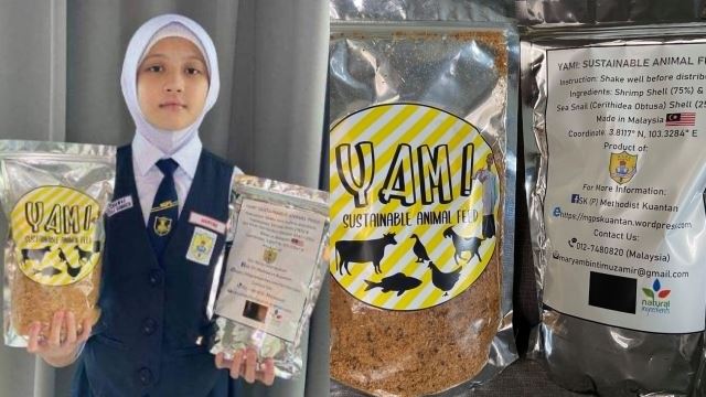 inovasi kanak-kanak 11 tahun dapat pengiktirafan anugerah antarabangsa, menang tiga pingat emas