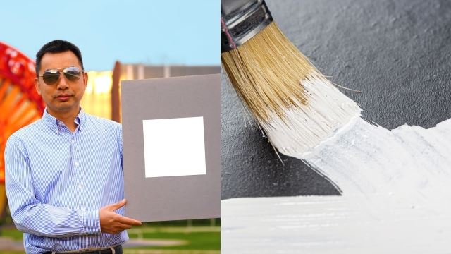 cipta cat paling putih dunia, penyelidik berjaya pecah rekod ‘guinness book of world records’