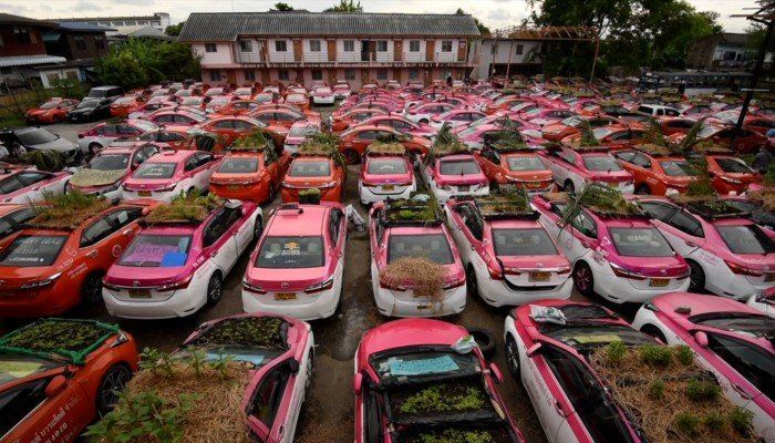 bangkok’s “taxi graveyard” is now a beautiful mini-garden growing foods for out-of-work taxi drivers