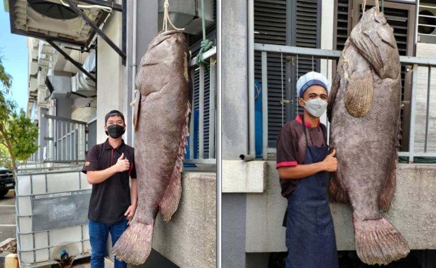 labuan fisherman catches massive 160kg grouper fish “keratang”