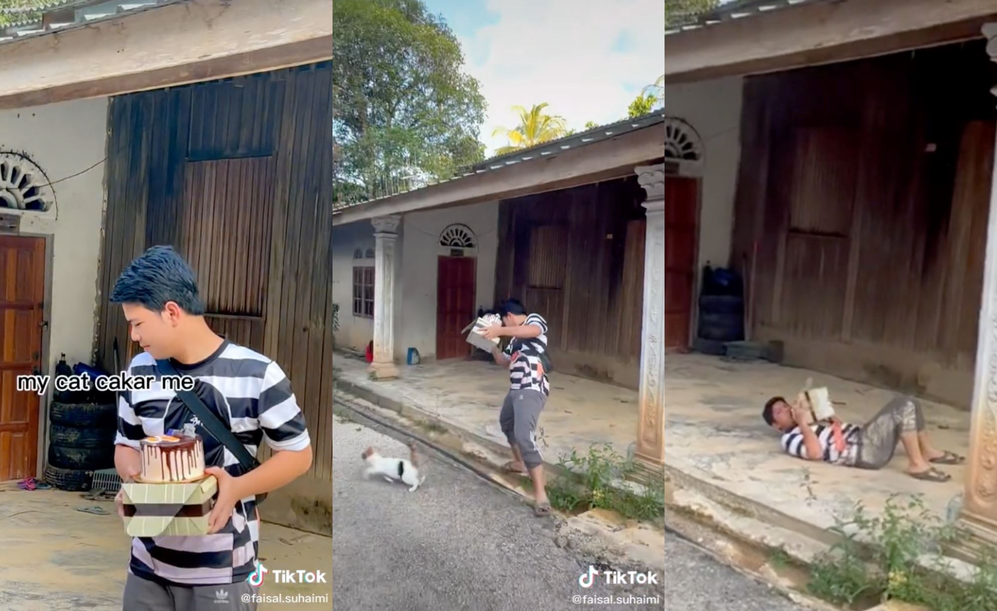 man surprising sister, tripped over cat & almost smashed birthday cake on his face