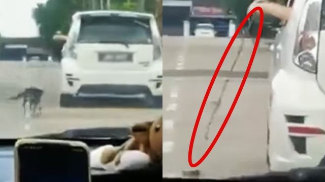 individu tarik anjing ketika kenderaan bergerak dikecam teruk, polis berjaya kesan suspek terbabit 