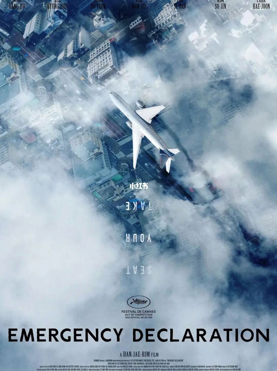 🎬韩国新灾难片❗️《非常宣言》飞机面对灾害状况无法继续航行✈️