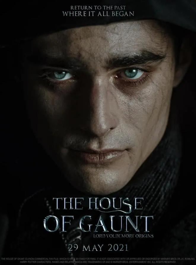 【电影】考古《哈利波特》史上最帅伏地魔！主演是183cm的法国男模？！ 