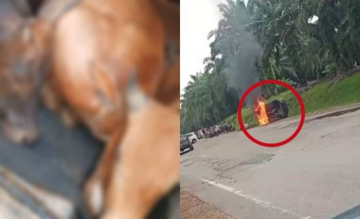 individu bertindak bakar dan terbalik kereta pesalah, berang lembu dicuri 