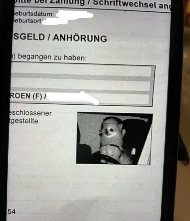 lelaki terkejut terima saman speedtrap tunjuk anjingnya pandu kereta