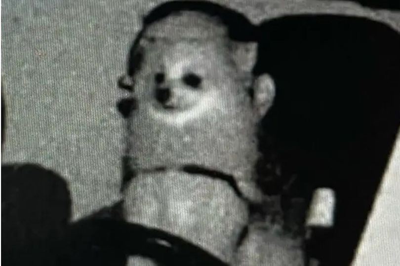 lelaki terkejut terima saman speedtrap tunjuk anjingnya pandu kereta