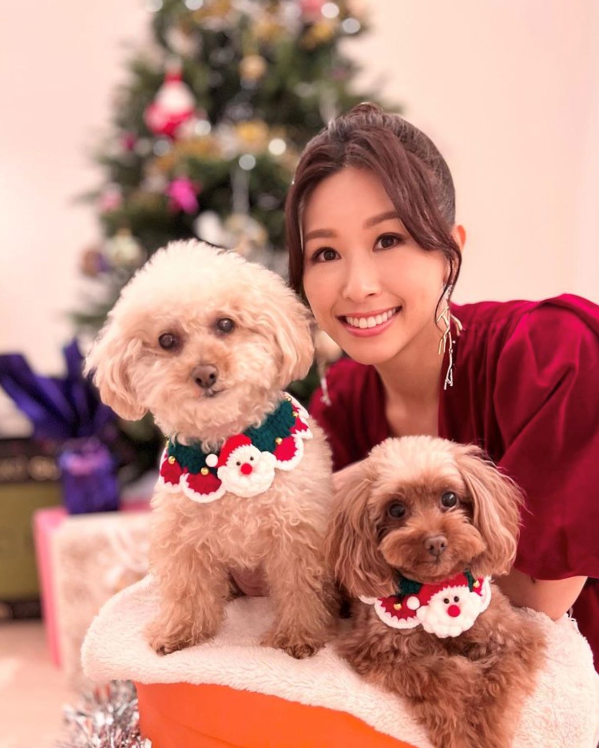 📺《金宵大厦2》「御用癫婆」赵希洛再演疯狂角色❗️现实是富二代家住半山豪宅🔥