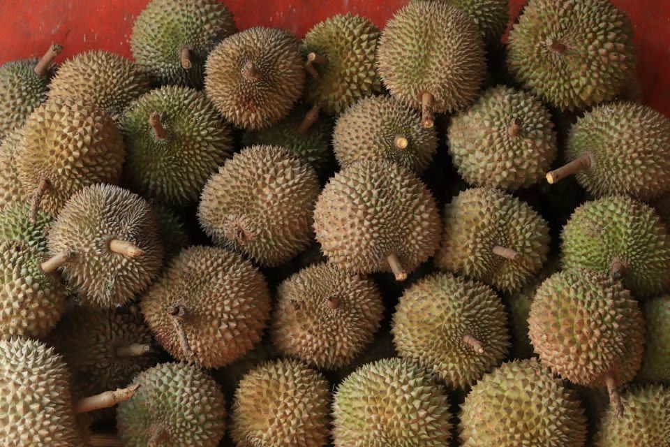 china terkejut setelah temui virus covid-19 pada bungkusan durian dari thailand