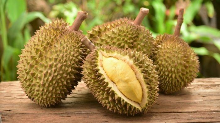 china terkejut setelah temui virus covid-19 pada bungkusan durian dari thailand