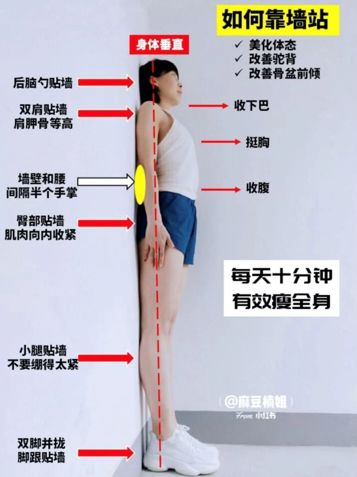 💪5招「靠牆运动」每日10分钟❗️赶走梨形身材🍐