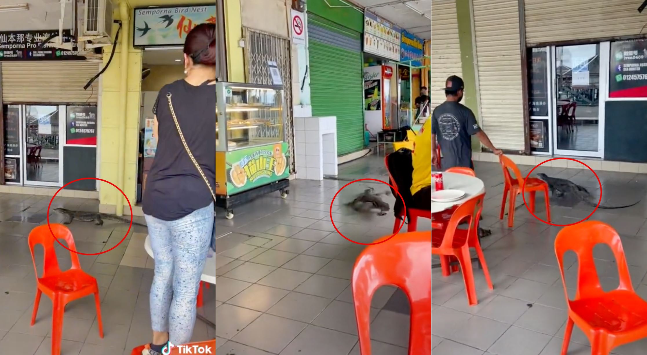 hilarious video of monitor lizard scaring customers at sabah restaurant went viral online!