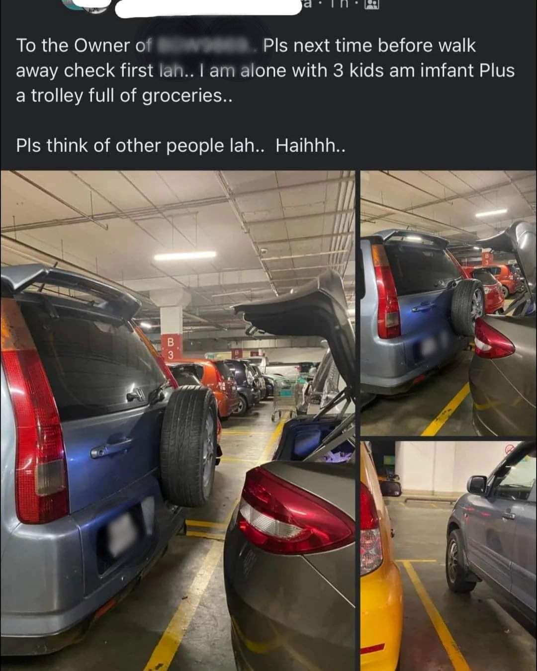 woman complains about another car’s parking, criticised by malaysians instead