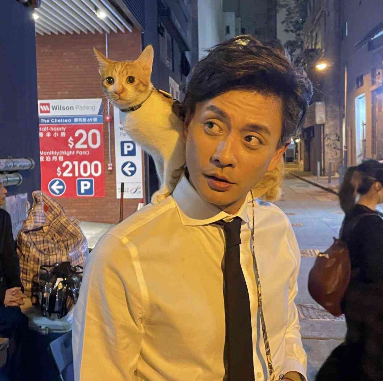 📺《法证先锋v》11月14日开播❗️黄宗泽隔4年重返tvb🔥